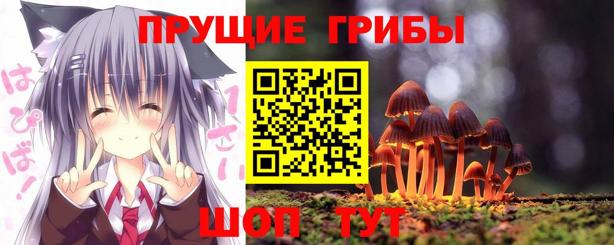 Кимры  Галлюциногенные грибы Cubensis  Псилоцибиновые грибы Cubensis  купить закладку  Вход с VPN 