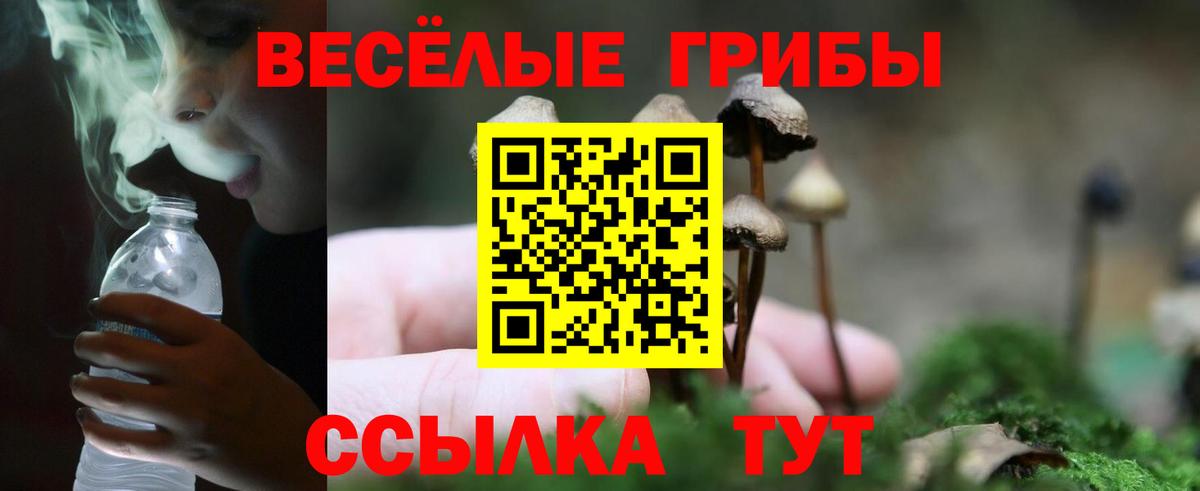 Псилоцибиновые грибы Magic Shrooms Кимры